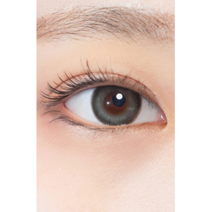 Hapa Kristin 1Day — One&Only Kristin Big Plus(13.8) Gray 日抛 10片裝